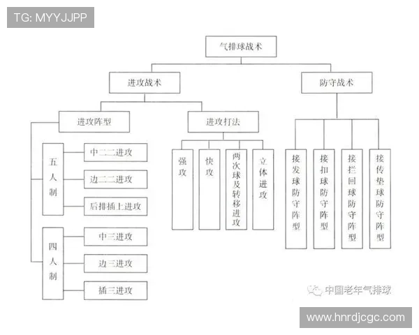 武汉排球队总决赛战术分析与表现评估的深度解读